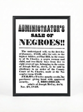 Administrator's Sale of Negroes: Estate Auction 1849