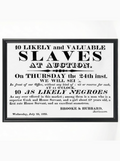 10 Likely and Valuable Slaves: Brooke & Hubbard 1823