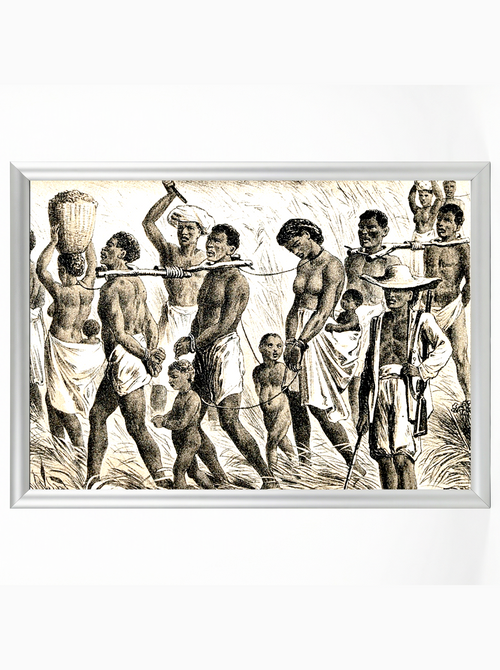 African Slave Coffle: Men, Women, and Children Captive