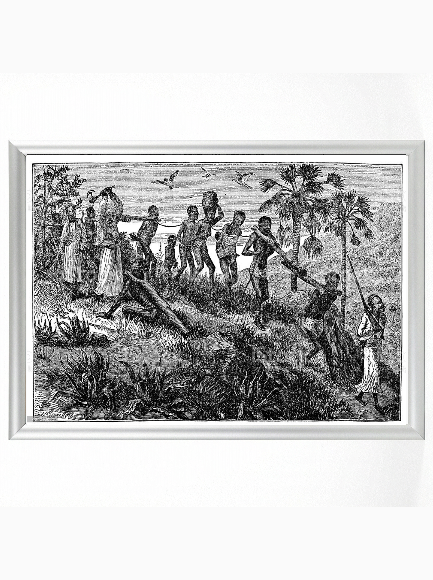 Slave Coffle: Yoked and Chained Through Africa