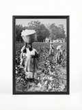Sharecropper Woman: Carrying Cotton Basket on Her Head