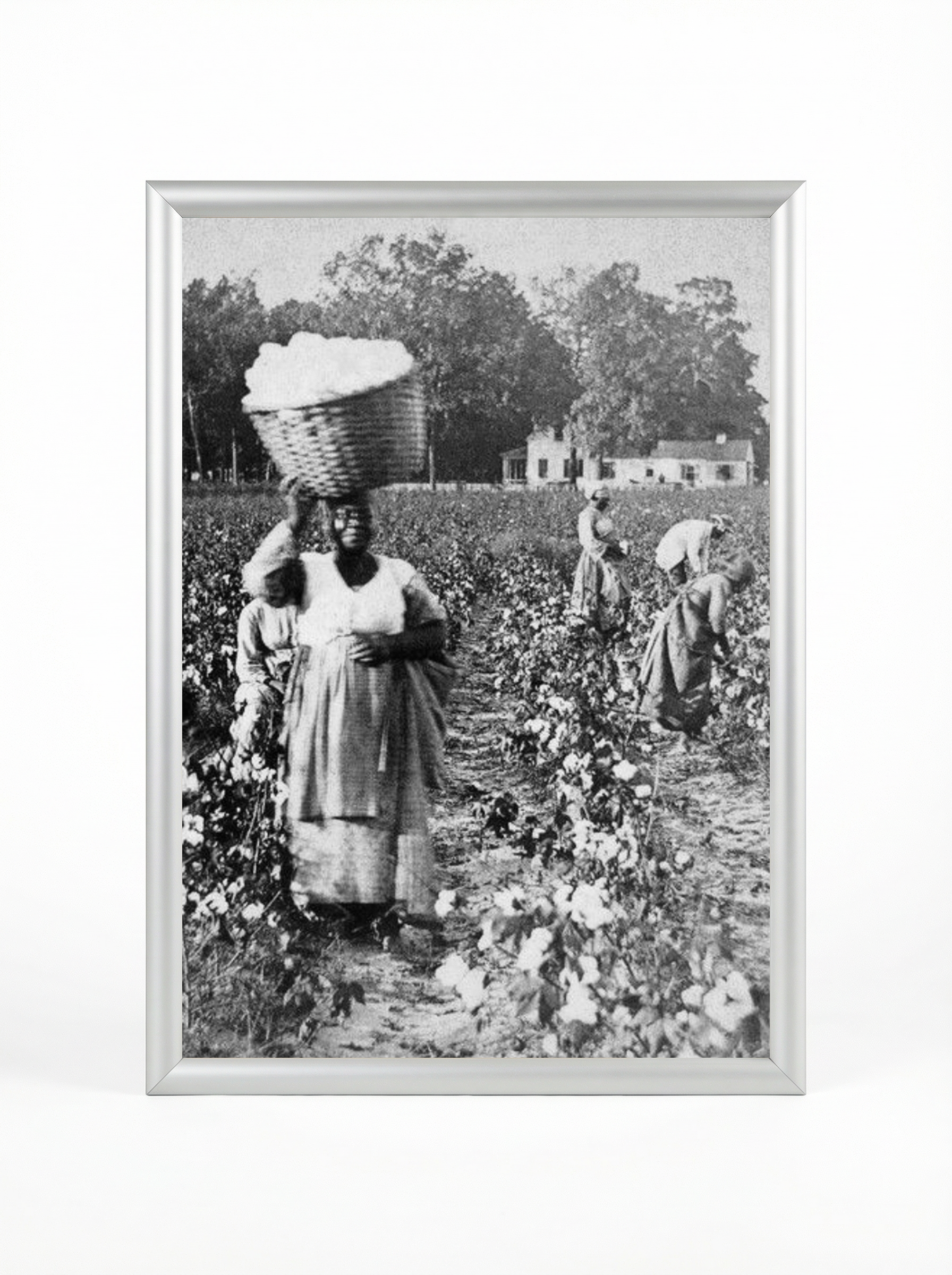 Sharecropper Woman: Carrying Cotton Basket on Her Head