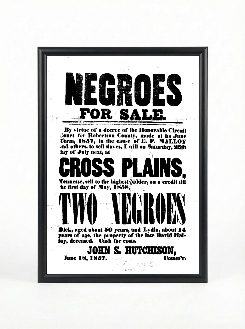 Negroes for Sale: Two Negroes Cross Plains 1857