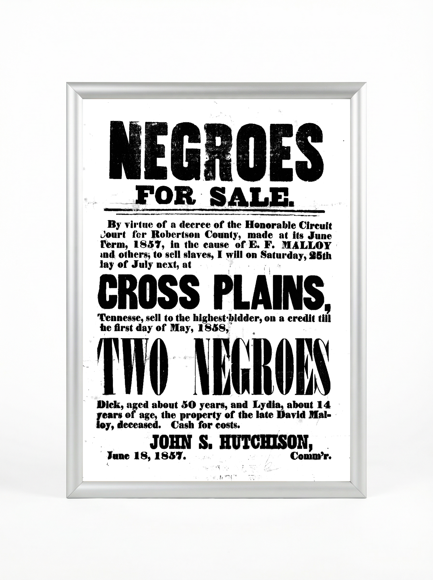 Negroes for Sale: Two Negroes Cross Plains 1857