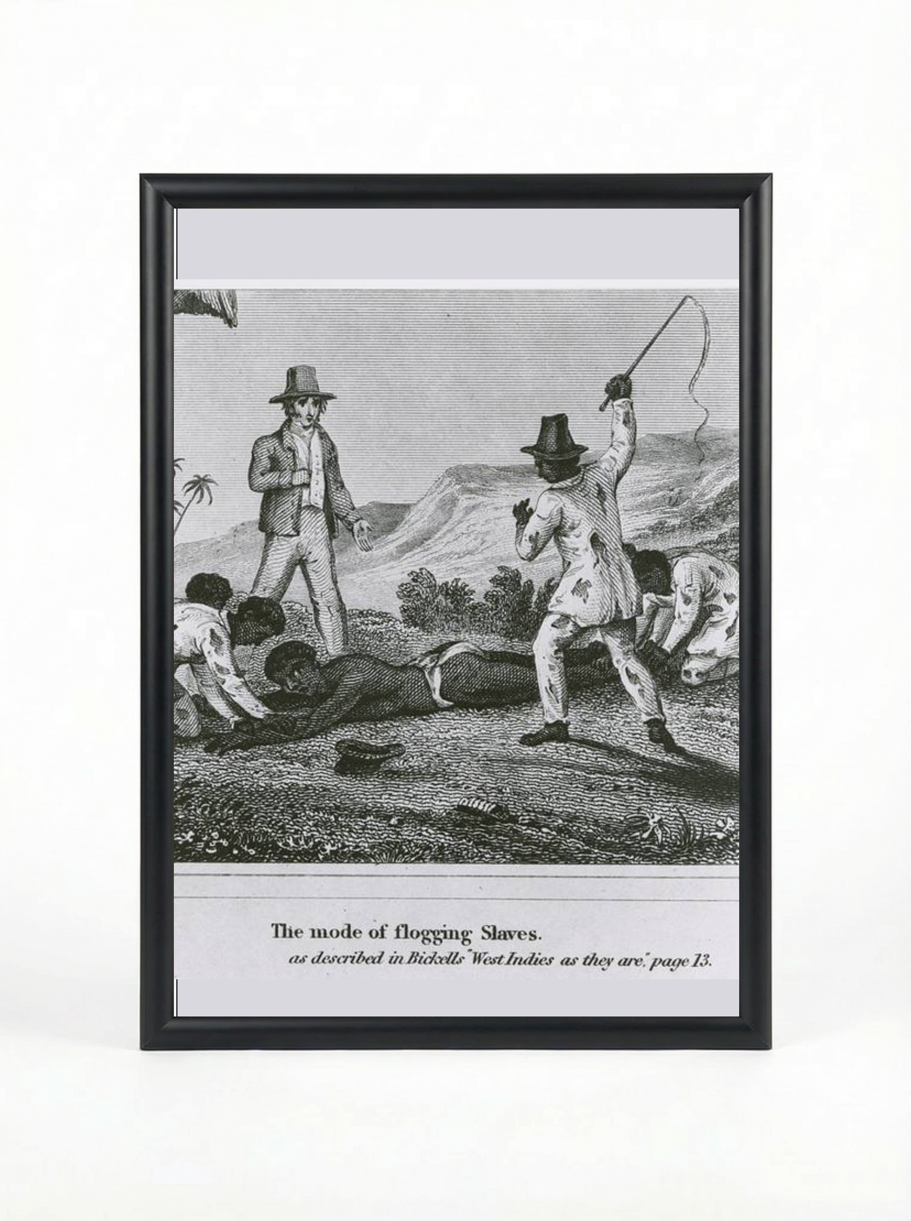 The Mode of Flogging Slaves: West Indies Brutality