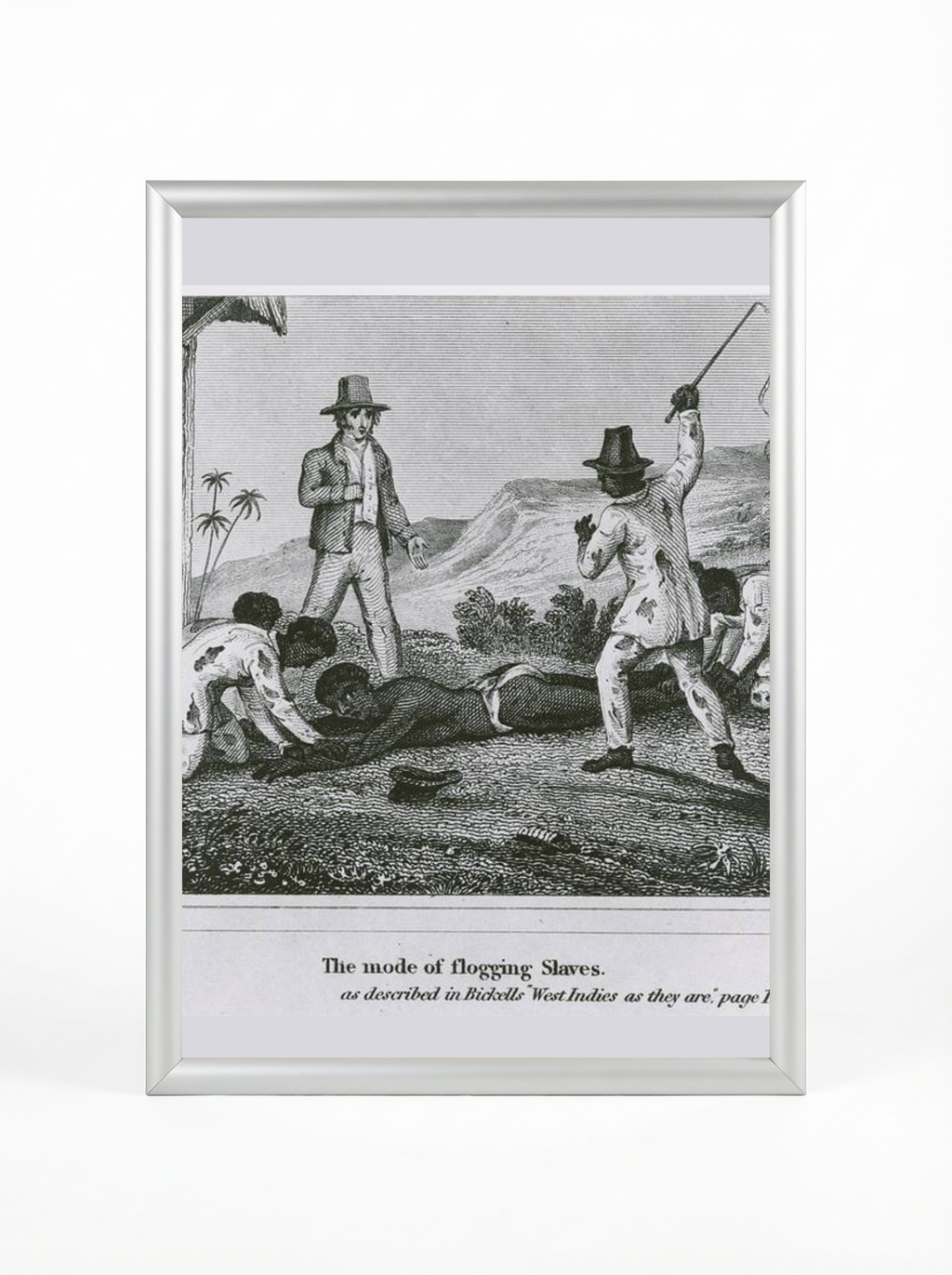 The Mode of Flogging Slaves: West Indies Brutality