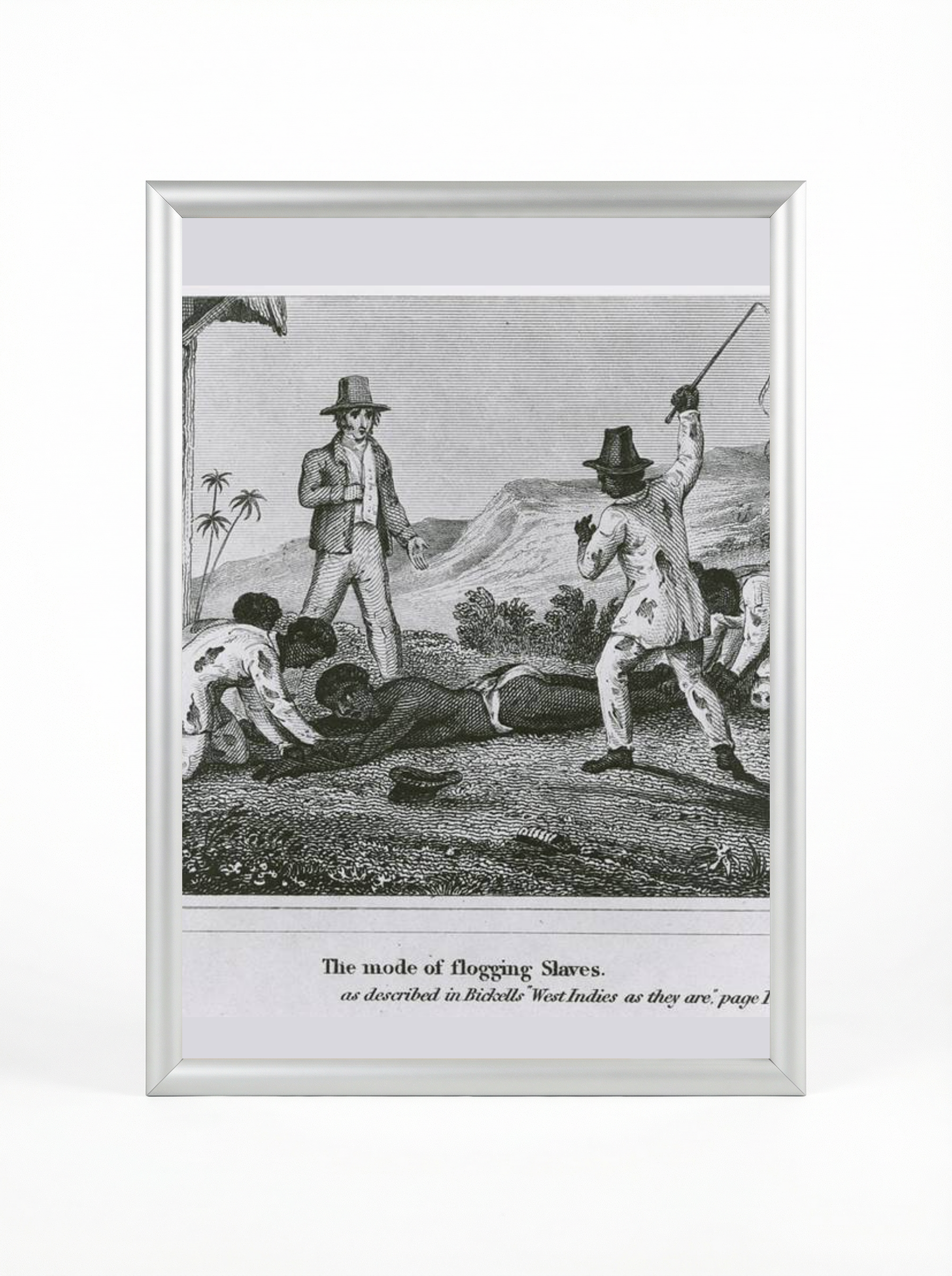The Mode of Flogging Slaves: West Indies Brutality