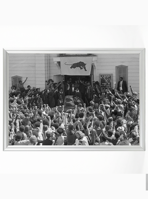 Black Panther Funeral: Community Rally and Solidarity