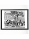 Amy Spain Lynching: Darlington Courthouse Sycamore Tree