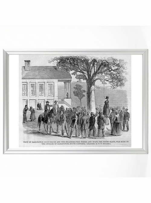 Amy Spain Lynching: Darlington Courthouse Sycamore Tree