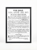 Gang of 460 Negroes: Long Cotton and Rice Plantation Sale