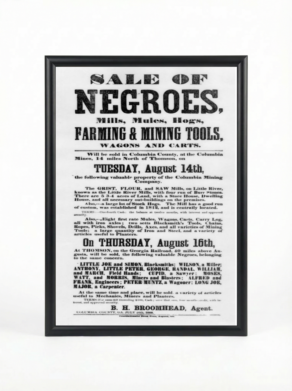 Sale of Negroes: Mills, Mules, Hogs & Mining Tools