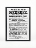 Sale of Negroes: Mills, Mules, Hogs & Mining Tools