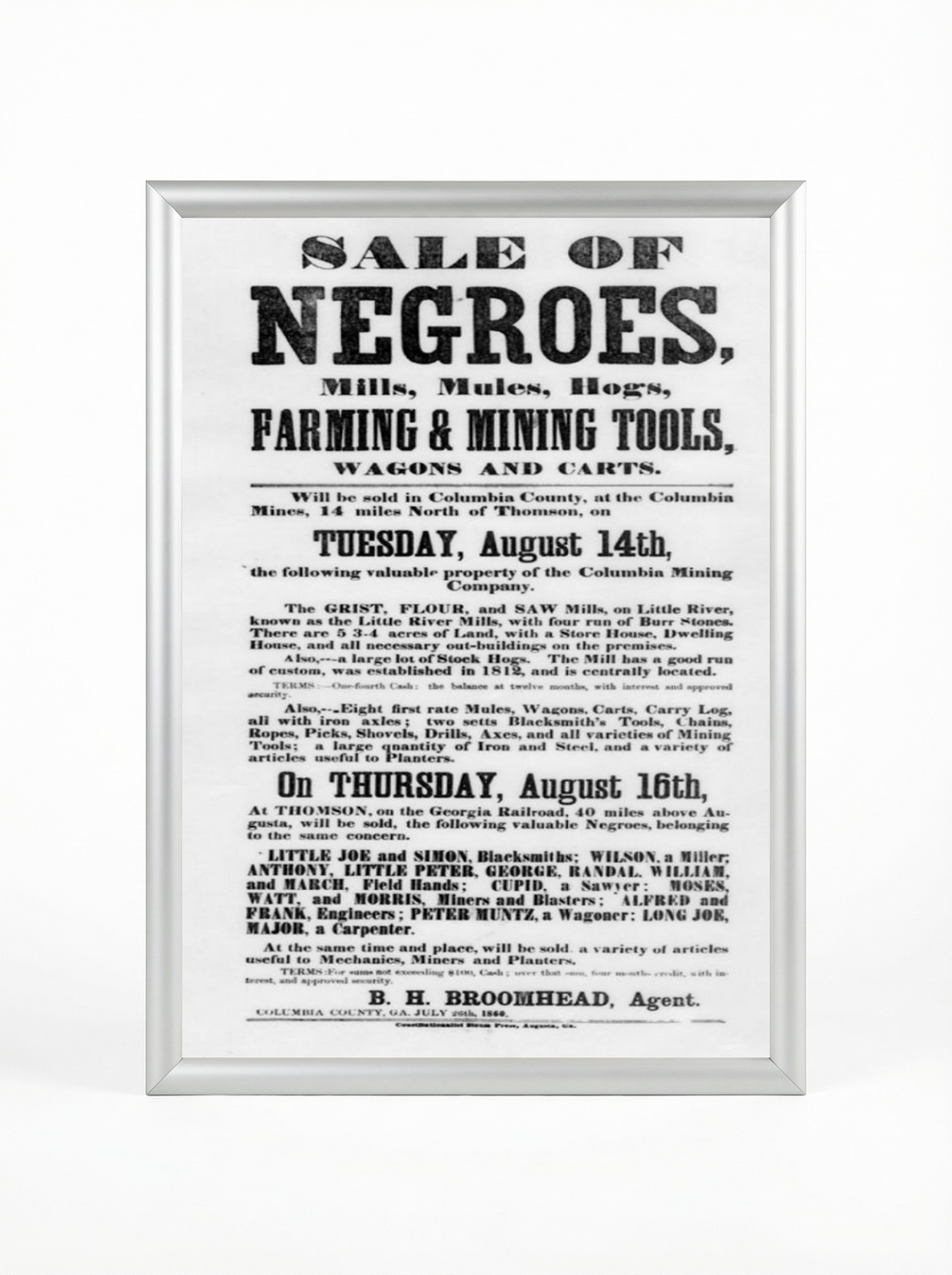 Sale of Negroes: Mills, Mules, Hogs & Mining Tools