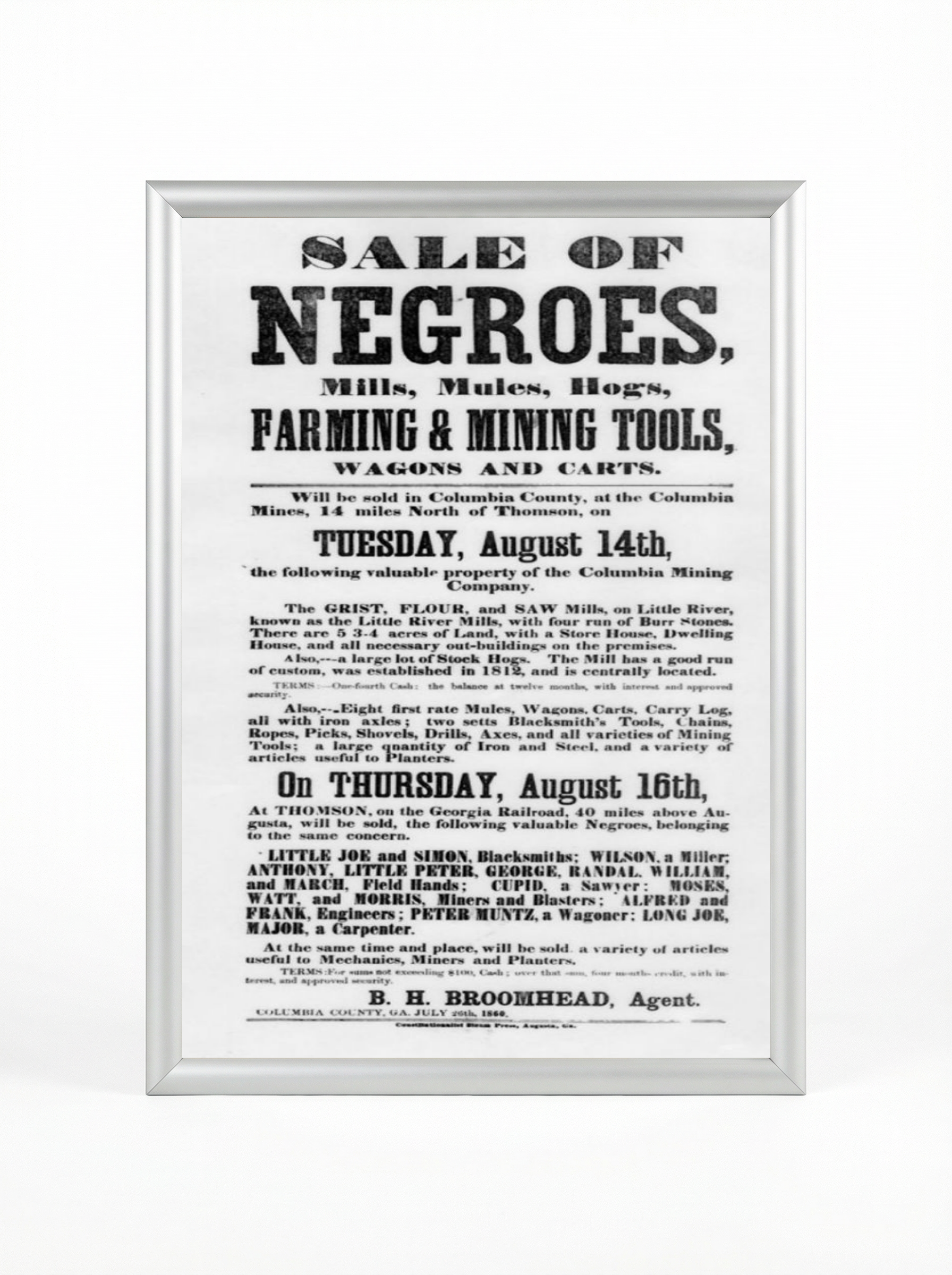 Sale of Negroes: Mills, Mules, Hogs & Mining Tools
