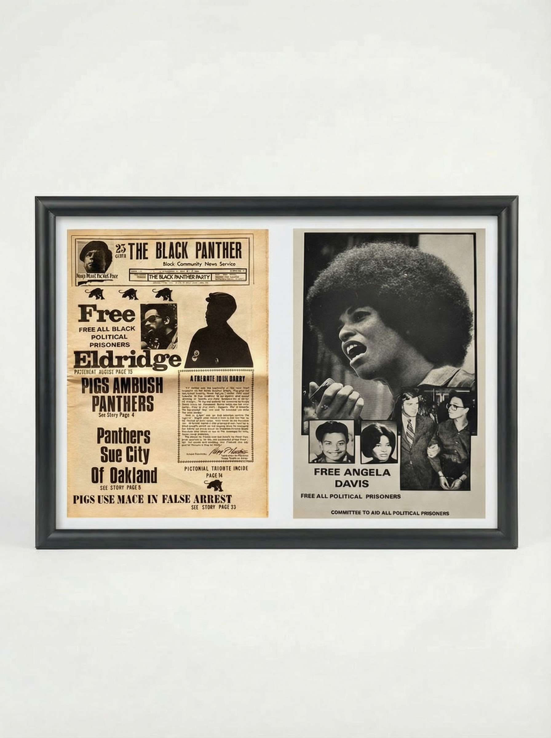 Black Panther Newspaper: Free All Political Prisoners