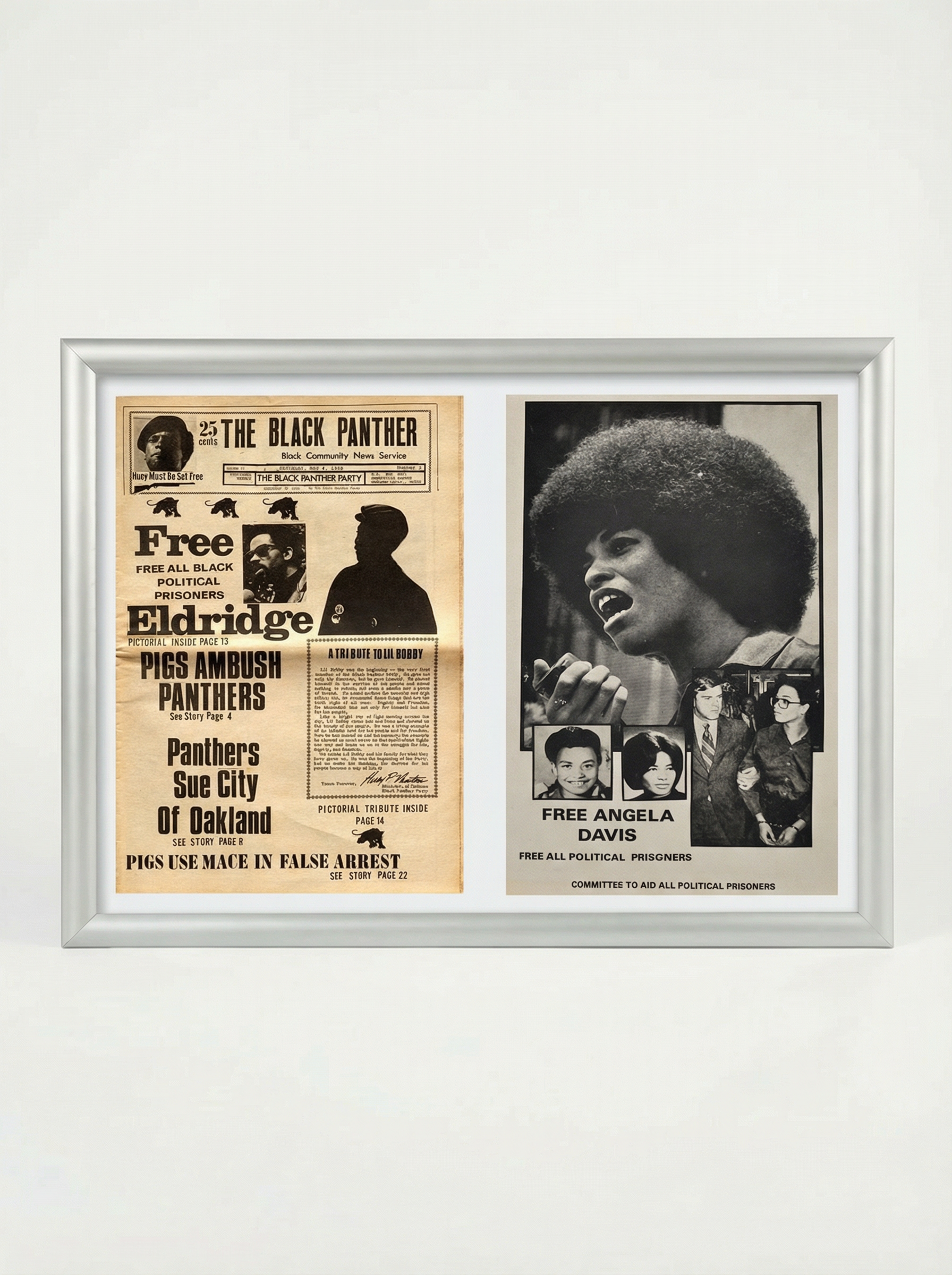 Black Panther Newspaper: Free All Political Prisoners