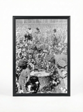 Sharecropper Family: Picking Cotton Together in the Field