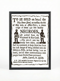 Slave Auction Advertisement - Charleston Historical Documentation Poster (Copy)