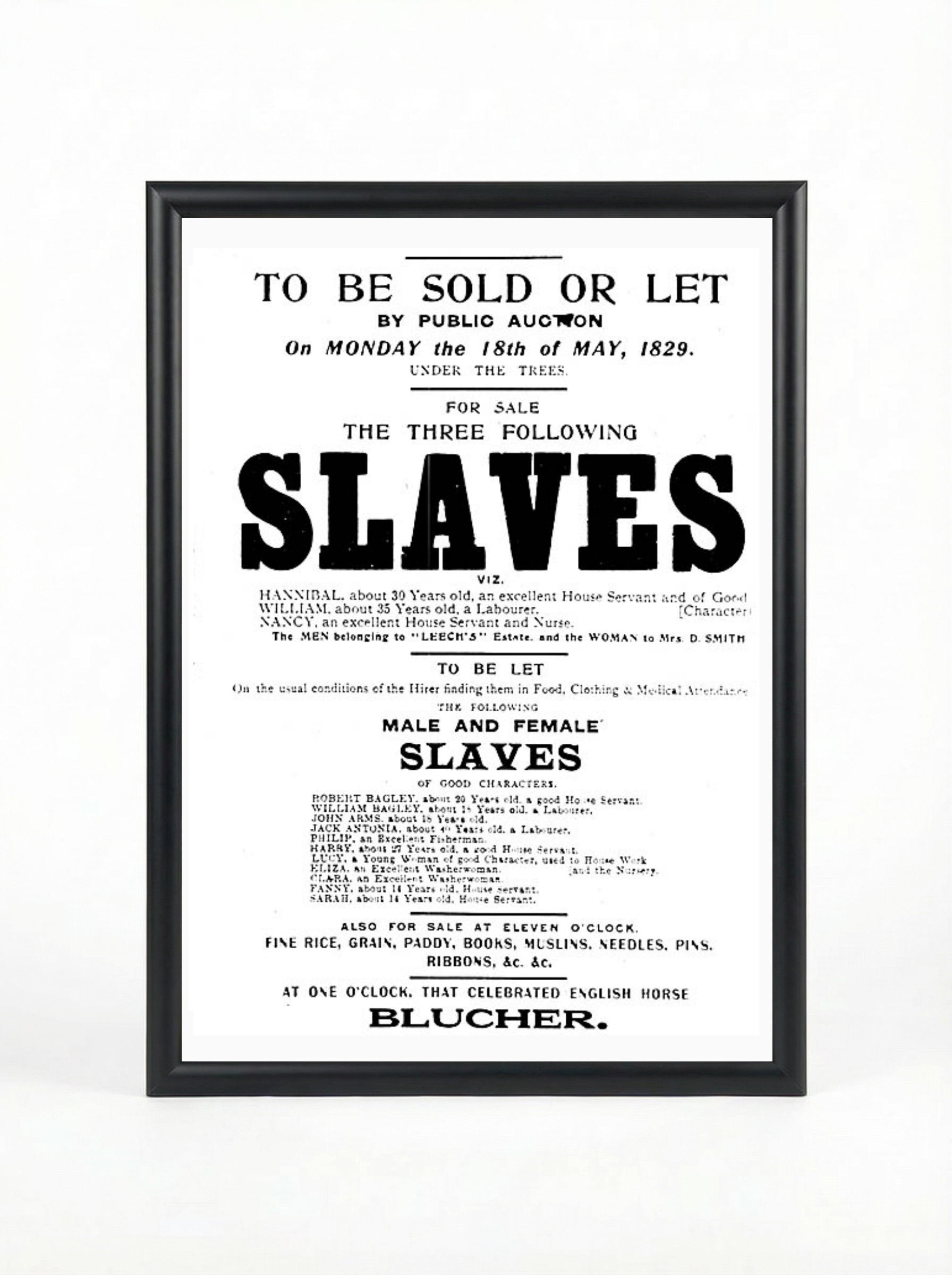 1829 Slave Auction Broadside - To Be Sold or Let Historical Poster