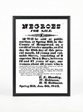 Spring Hill 1842 - Negroes for Sale Auction Broadside Historical Poster