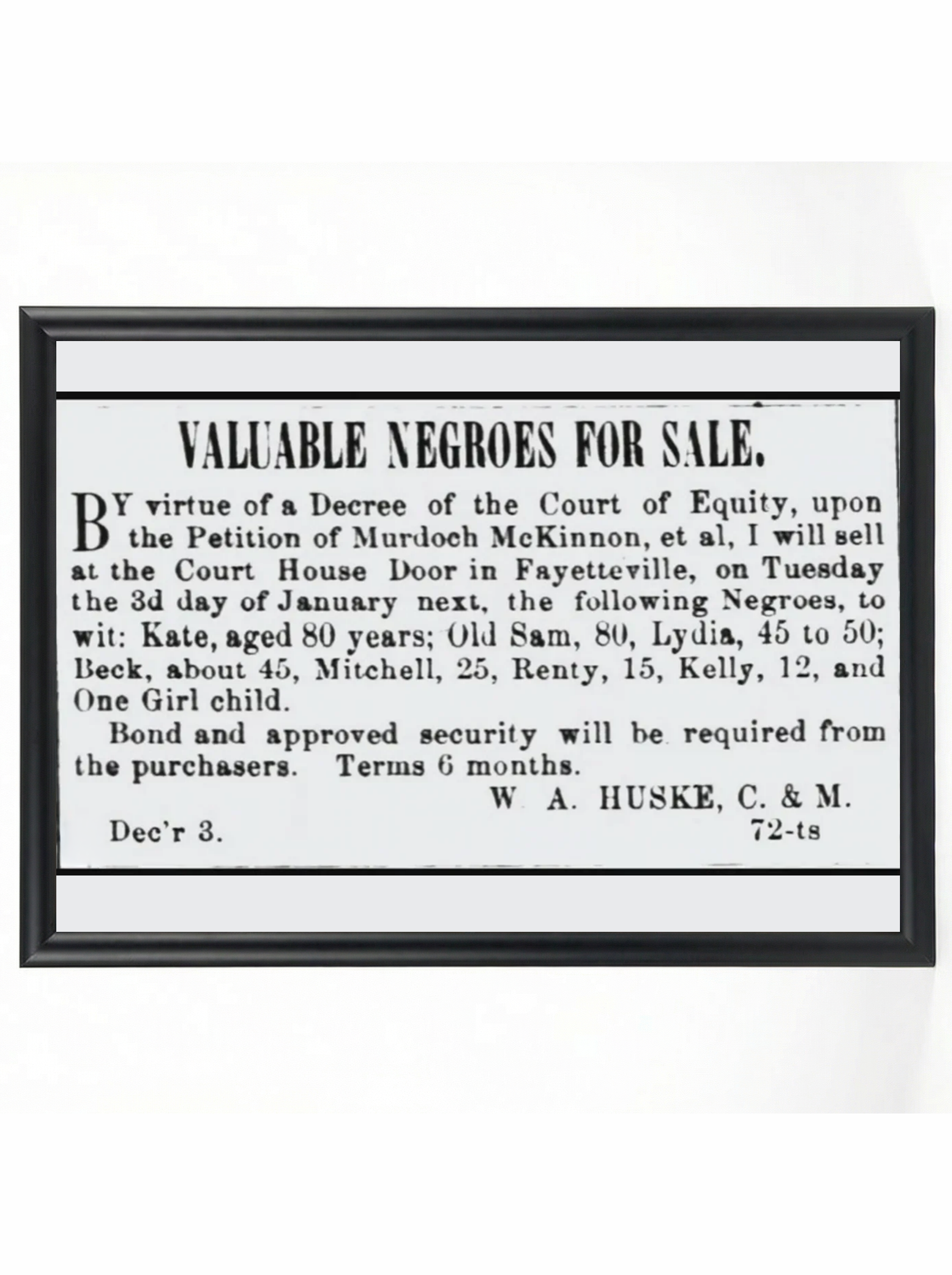 Valuable Negroes for Sale - Fayetteville Court Auction Notice Historical Poster