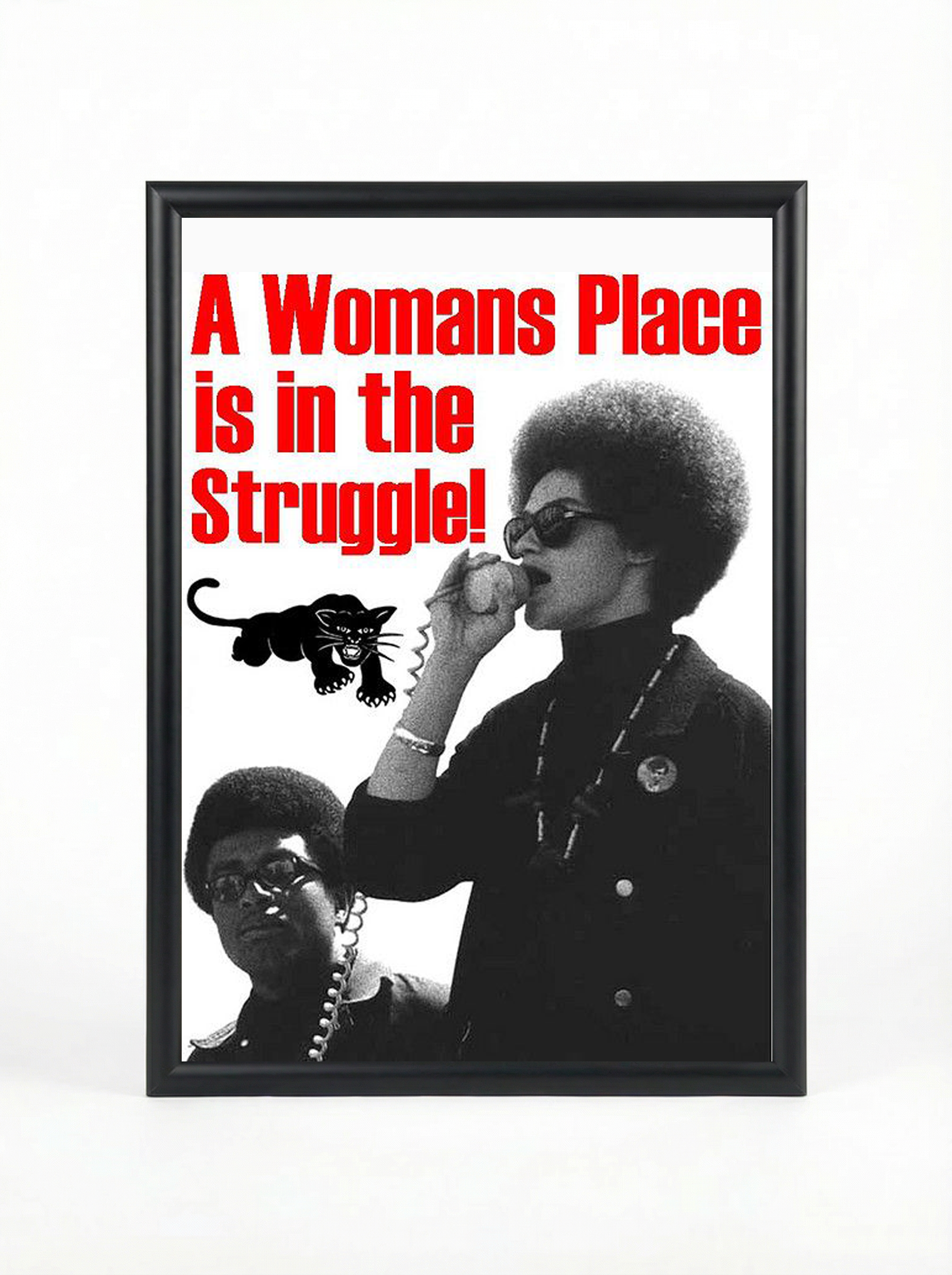 A Woman's Place is in the Struggle: Black Panther Women
