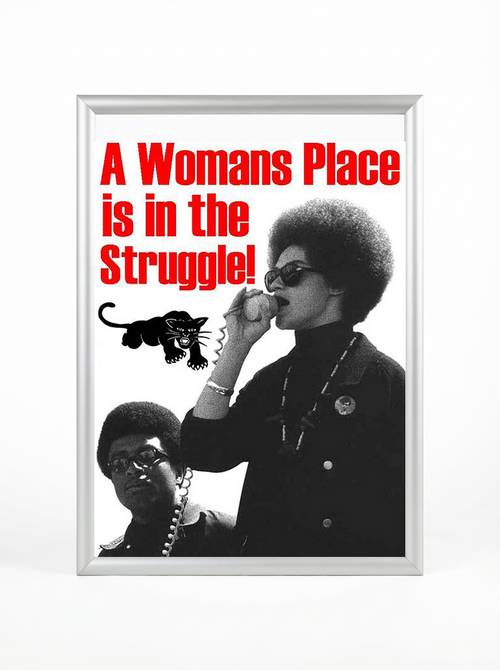 A Woman's Place is in the Struggle: Black Panther Women